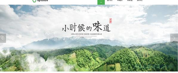 农

贸企业网站模板T1246.jpg