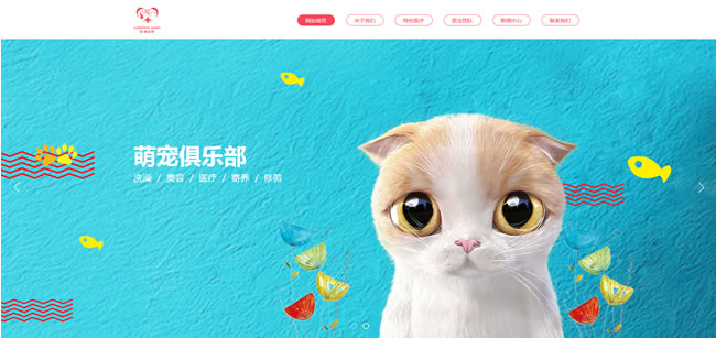 宠物店网站模板T10310.jpg